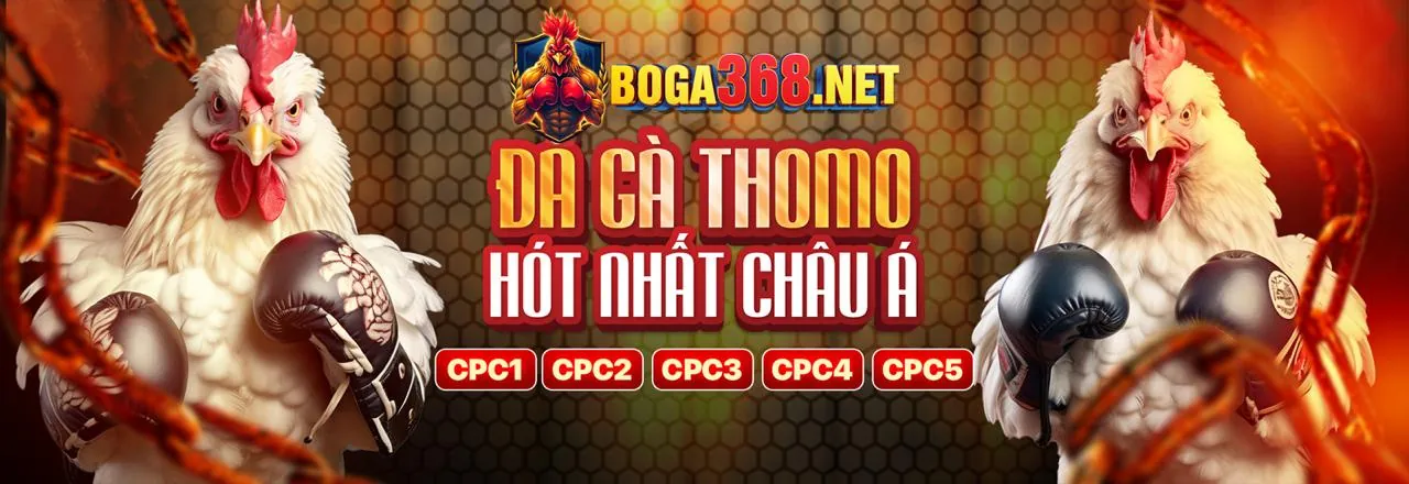 Sân vận động đầy ắp khán giả với trận đấu bóng đá kịch tính, biểu tượng cho cá cược thể thao tại rikvip link mới